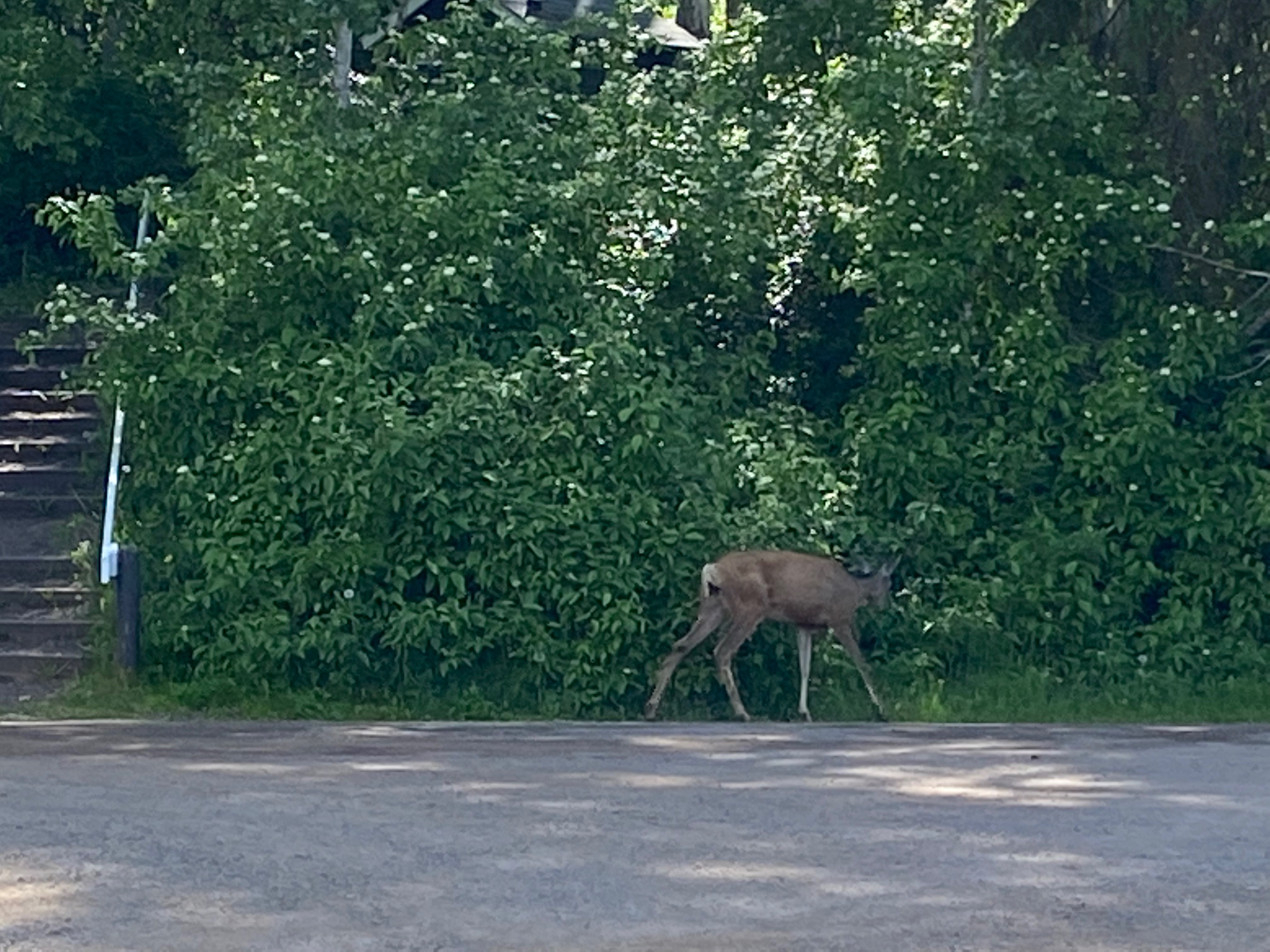 Riverside Municipal RV Park & Campground RV Campground in Smithers, BC